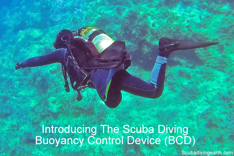 How To Achieve Neutral Buoyancy Scuba Diving (Made Easy)