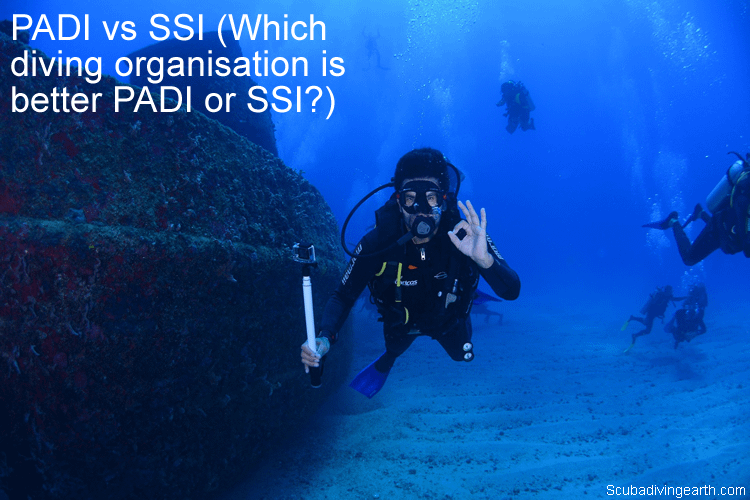PADI vs SSI (Which diving certification is better PADI or SSI?)